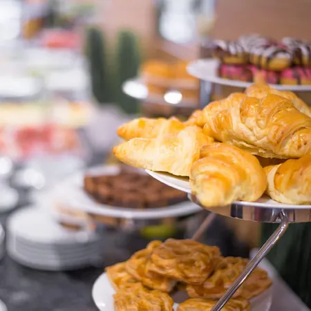 Premier Airport Szófia